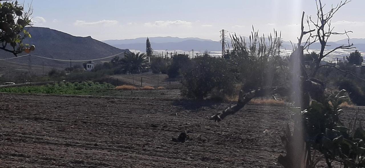 Cortijo Ferre, A Los Pies Del Castillo La Atalaya De Nijar Ngoại thất bức ảnh