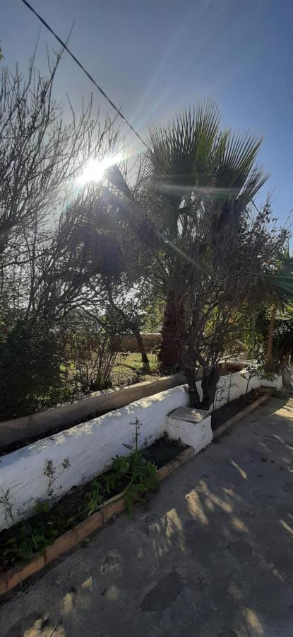 Cortijo Ferre, A Los Pies Del Castillo La Atalaya De Nijar Ngoại thất bức ảnh