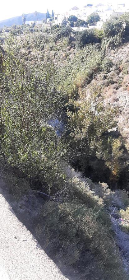 Cortijo Ferre, A Los Pies Del Castillo La Atalaya De Nijar Ngoại thất bức ảnh